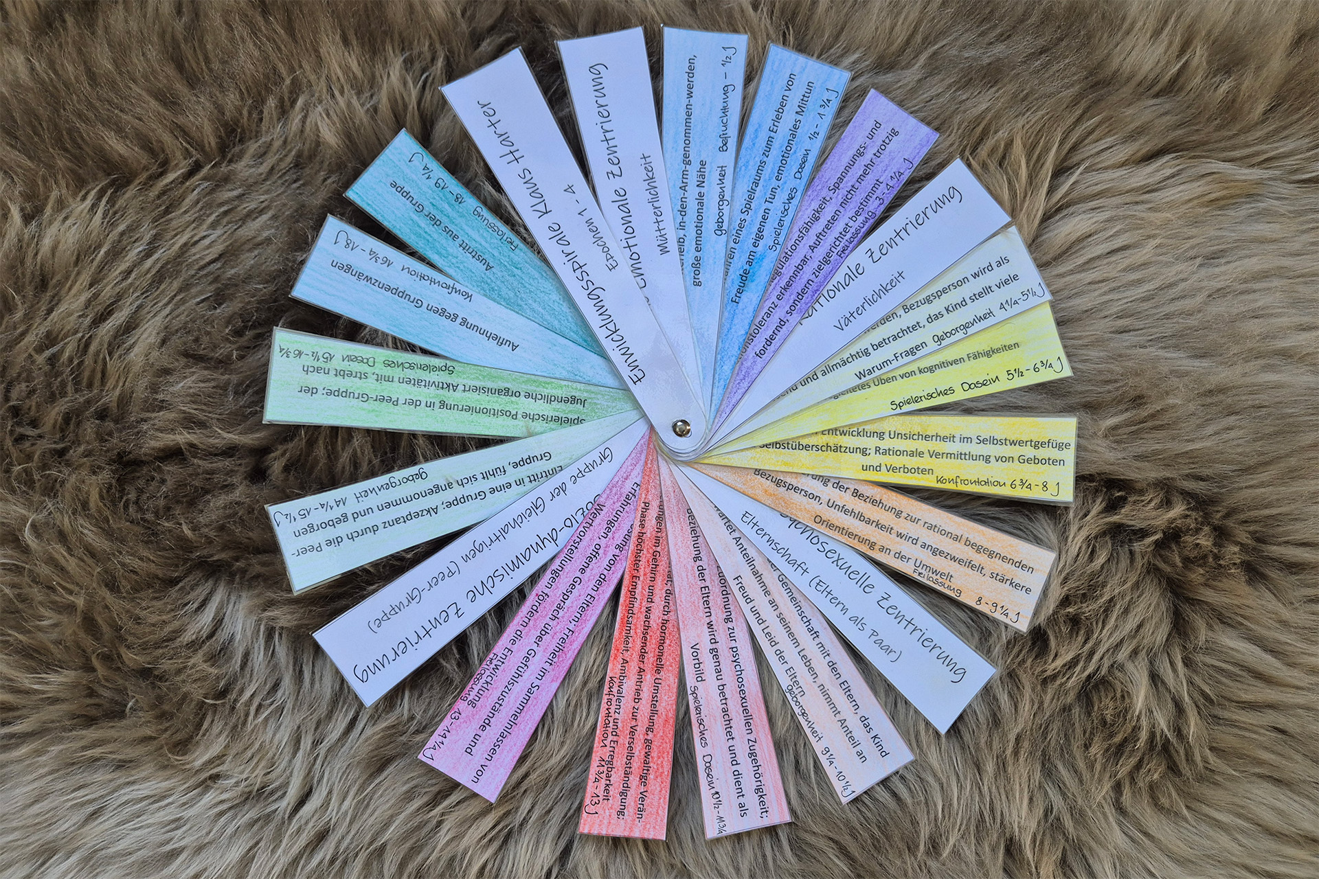 Rad mit farbigen Blättern.